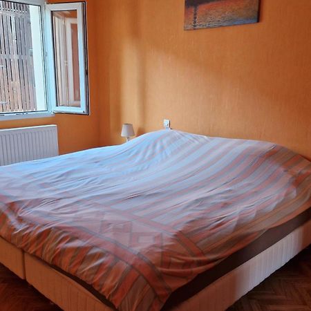 Appartement Le Grillenbreit كولمار المظهر الخارجي الصورة